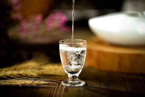 醉酒的六重境界 從微醺到致命，你了解多少？